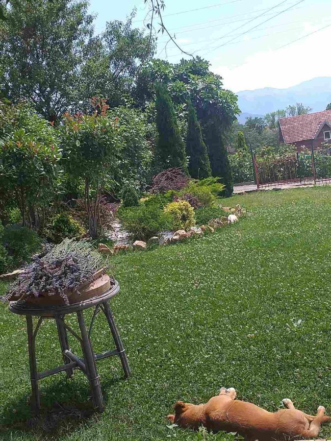 Villa Silva Ohrid Esterno foto