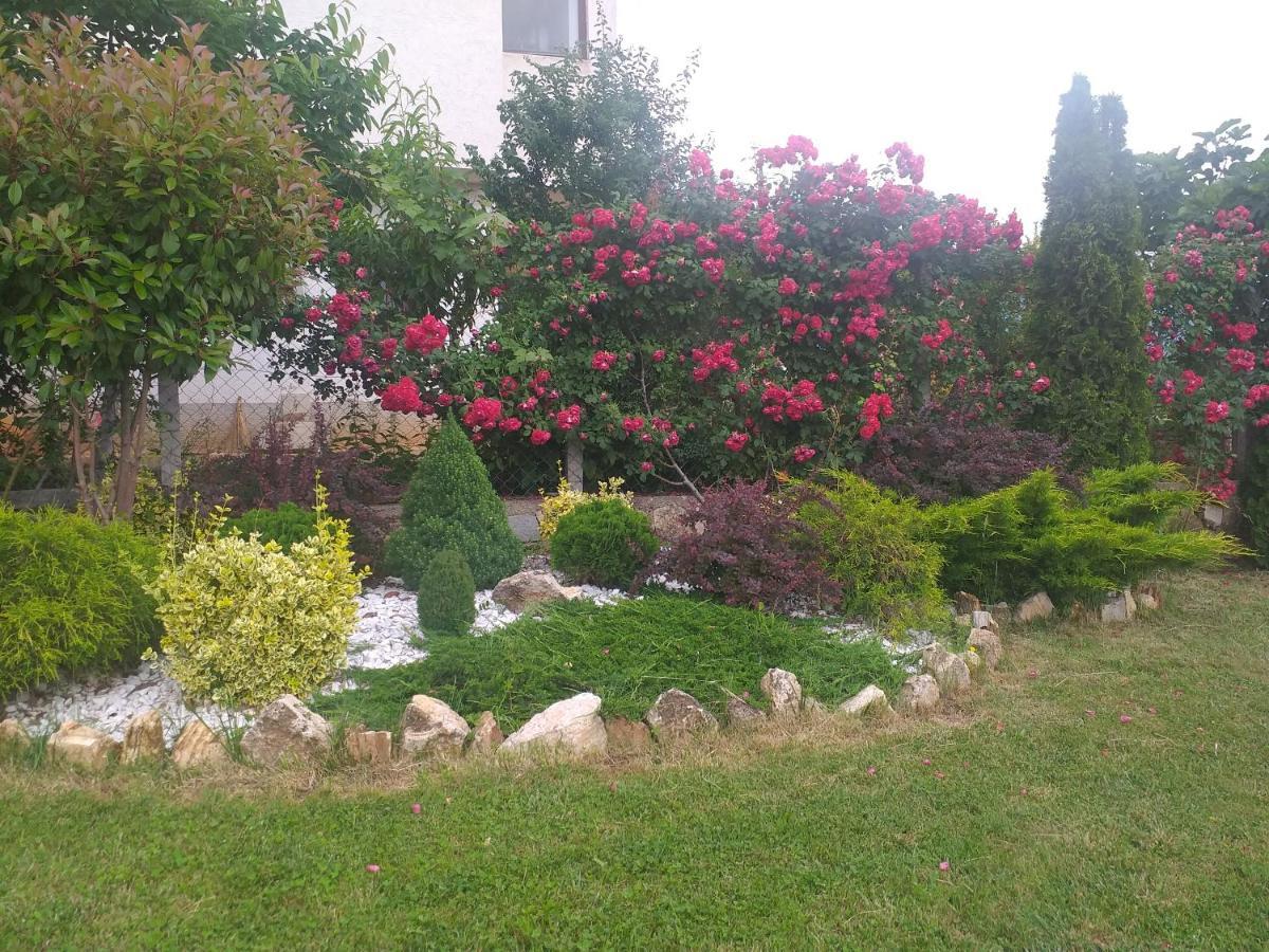 Villa Silva Ohrid Esterno foto