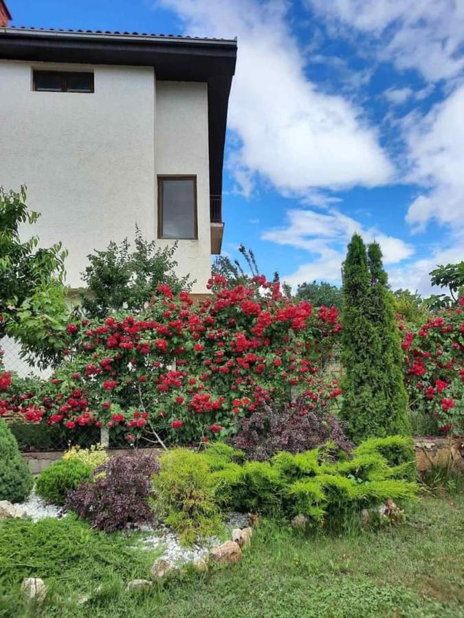 Villa Silva Ohrid Esterno foto