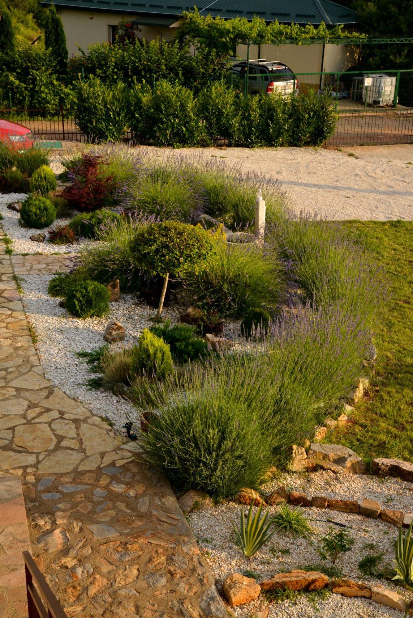 Villa Silva Ohrid Esterno foto